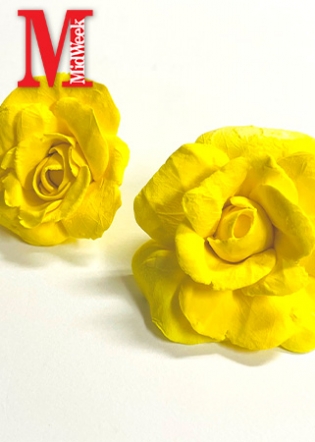 flower_img1