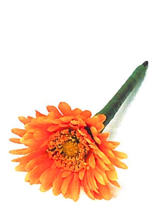 flower_img1